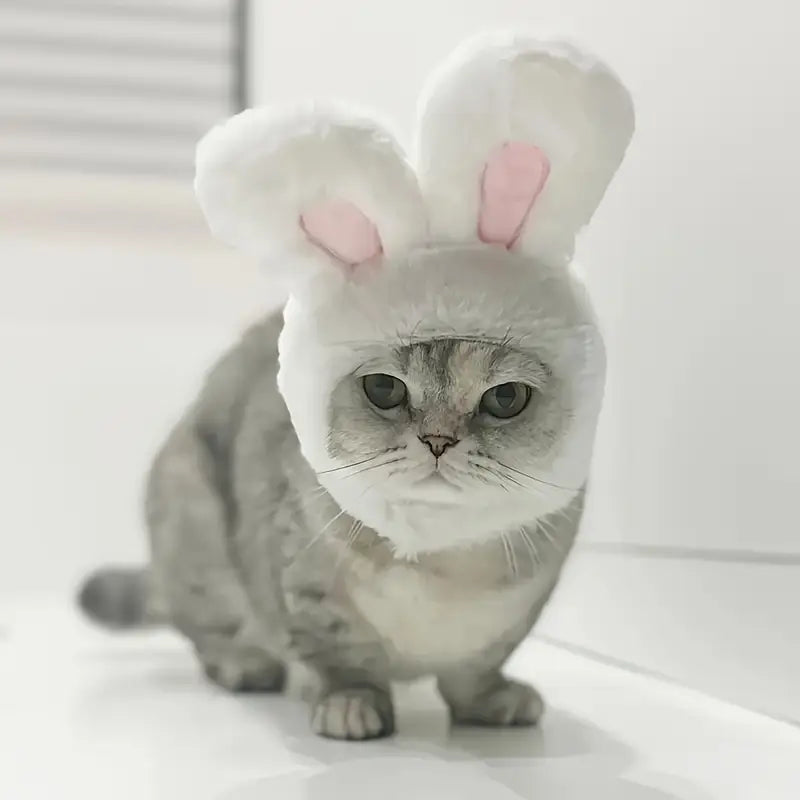 🐰  Καπέλο “Bunny Ears”