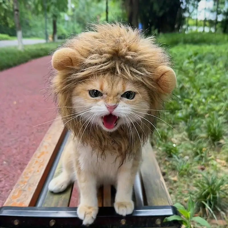 The Lion King Hat