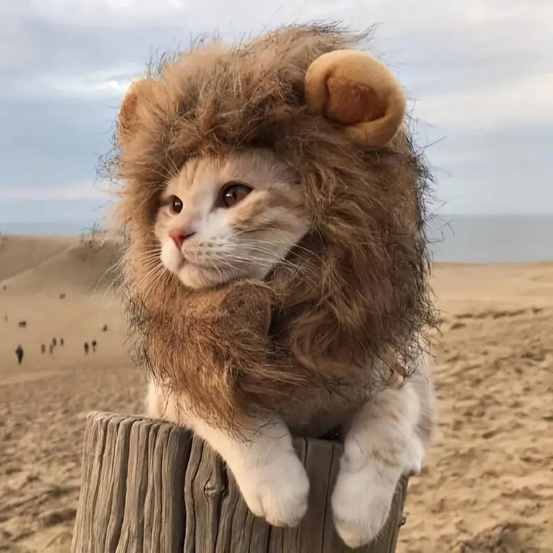 The Lion King Hat