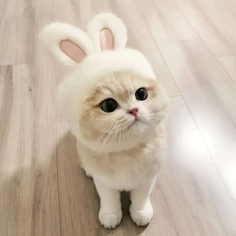 🐰  Καπέλο “Bunny Ears”