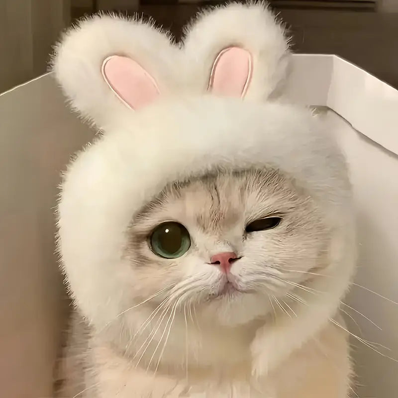 🐰  Καπέλο “Bunny Ears”