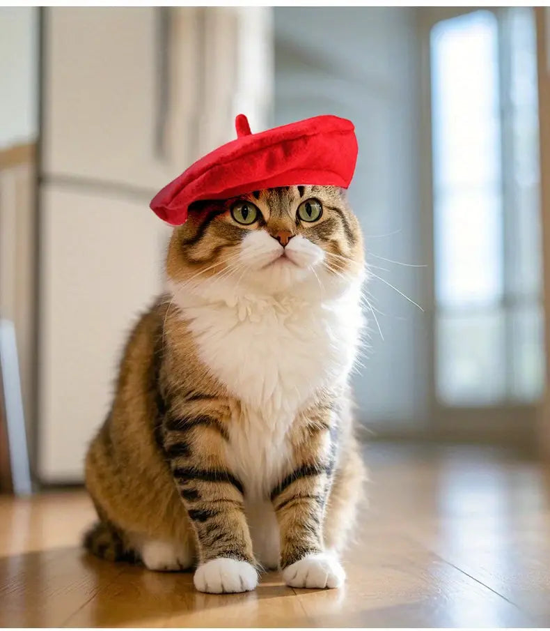 🎀 Καπέλο Beret Hat with Red Pom-Pom
