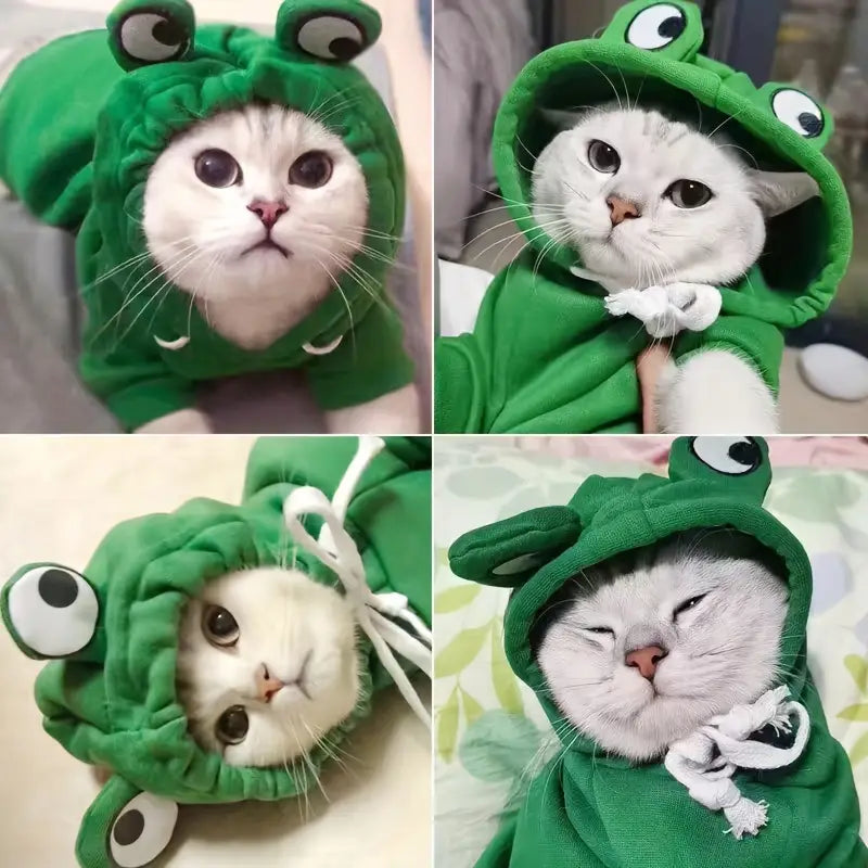 🐸 Κοστούμι “Cute Frog”
