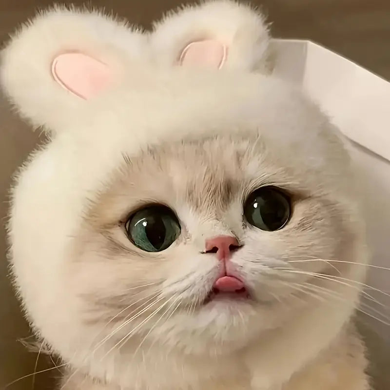 🐰  Καπέλο “Bunny Ears”