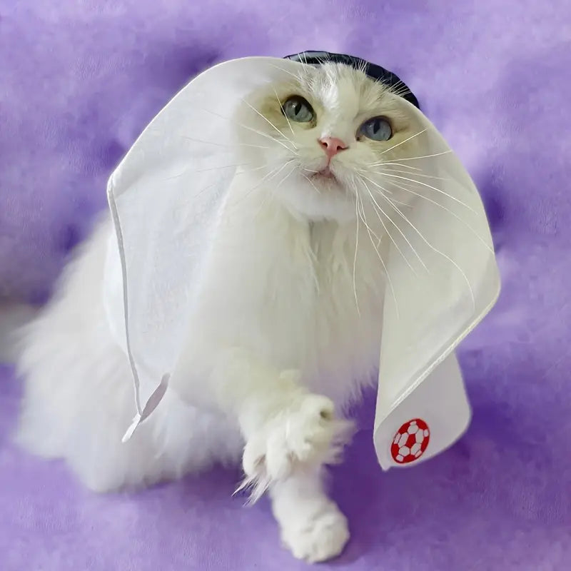 🧕 Καπέλο Turban Cat Hat