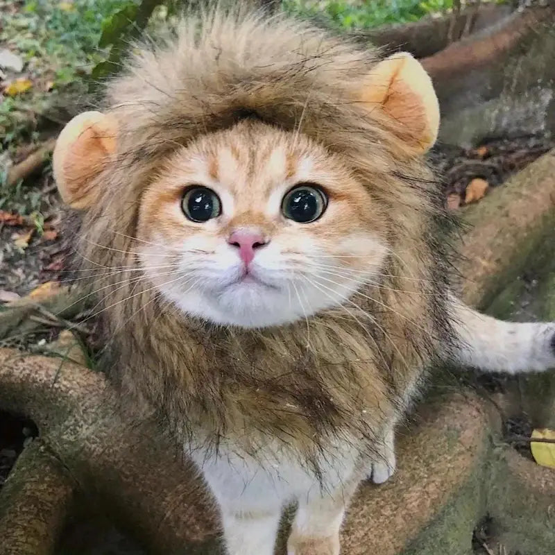 The Lion King Hat